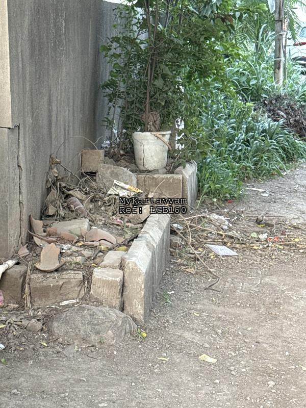 Dry branches and leaves