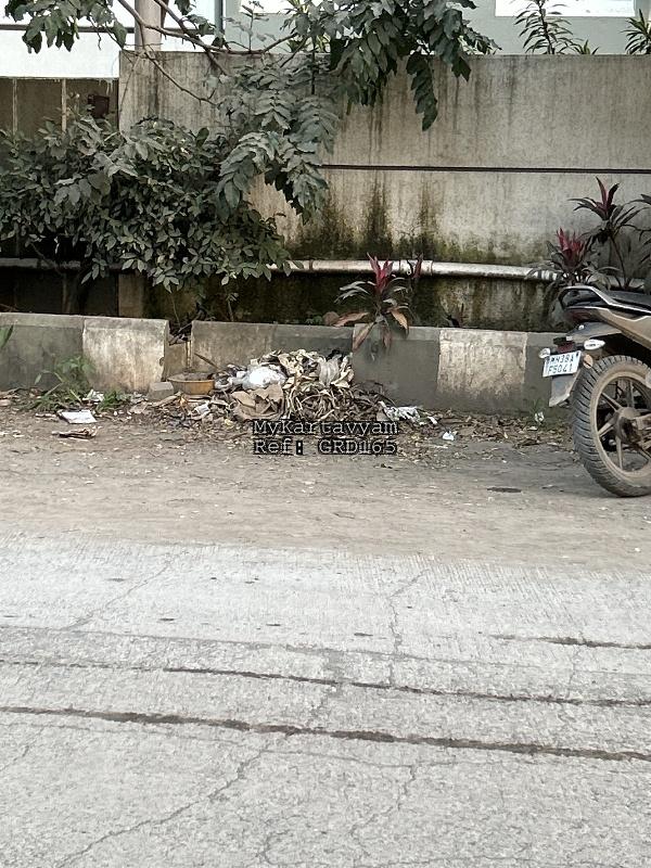 Garbage and dry leaves