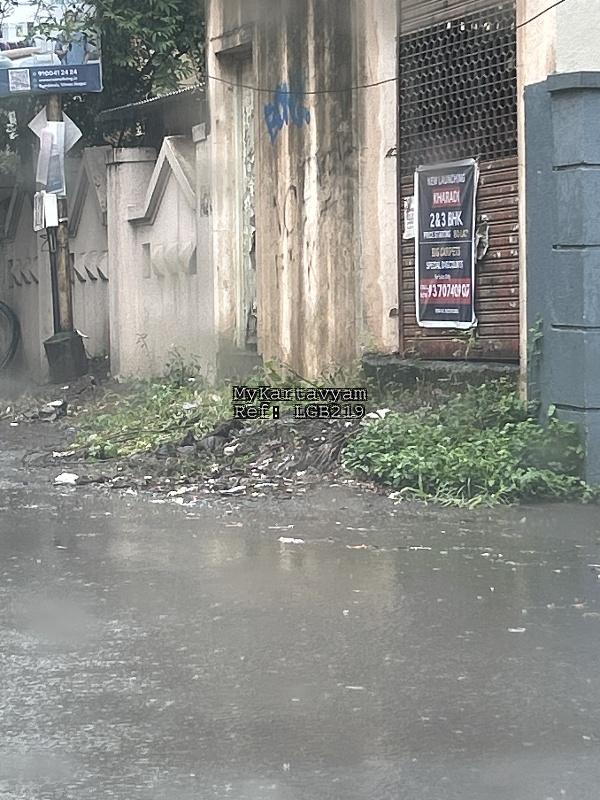 Garbage dump and dried leaves