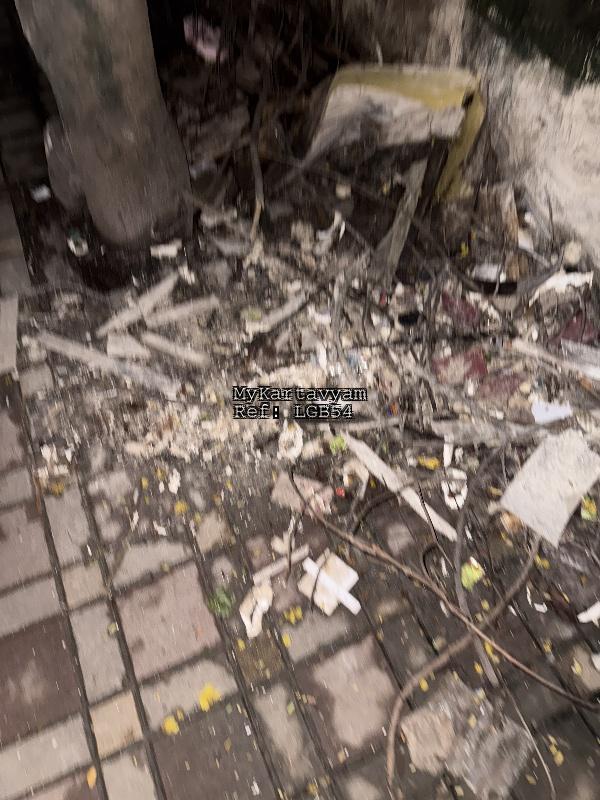 Collection of Derry Leaves